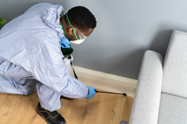 Best Real Estate Pest Inspections  in Carlyss, LA